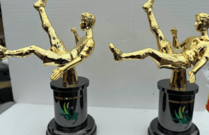 Nigeria 9th Pitch Awards To Commences As Organisers Excites Over Trophies Arrives