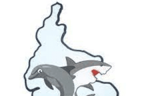 Rivers United Declares Albert Korvah AWOL, Denies Contract Termination