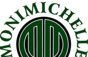 “Abuja, Lagos National Stadiums Can Be Fixed In Eight Months” – Egbe Tells FG