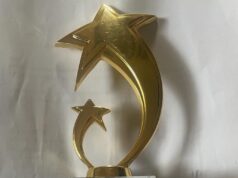 Sunday Dare Receives Best Performing Minister Award