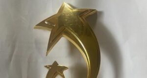 Sunday Dare Receives Best Performing Minister Award