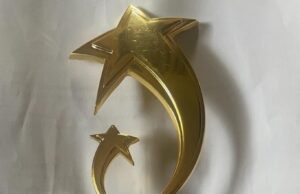 Sunday Dare Receives Best Performing Minister Award