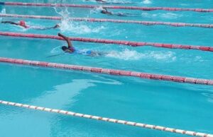Grange School, St. Saviours Dominate Dolphin Swimming League Awards, Showcasing Aquatic Supremacy