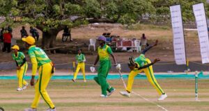 Cricket’s Grand Stage: Lagos To Host 2023 West Africa Trophy Tournament