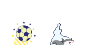 Elite Teams Preview: Sunshine Stars Vs Rivers United Super Six Playoff