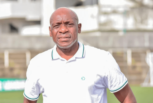 Shorunmu Urges Chelle to Recall Maduka Okoye to Super Eagles