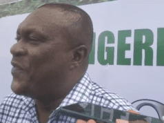 NNL Playoff 2023 : Pillars Drown DMD 2-0, Sets Sight On Promotion