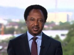 Senator Shehu Sani Appeals to Nigerian Government and Football Federation to Support Ailing Ex-International Daniel Joshua