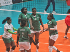 African Volleyball Championship: I Am Proud of My Players Says Ajayi