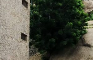 Daniel Egbedi – Versatile Sports Coach With a Vision For Youth Development