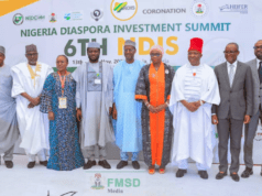 Sports Minister Lauds Contributions Of Nigerians In Diaspora To Nation Building