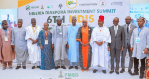 Sports Minister Lauds Contributions Of Nigerians In Diaspora To Nation Building