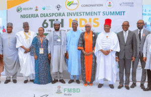 Sports Minister Lauds Contributions Of Nigerians In Diaspora To Nation Building