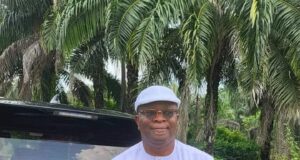 Emeka Inyama Heads NPFL Formed Committee – Revitalizing Youth Football