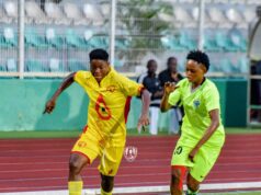 NWFL Premiership MD 12 Wrap: Benue Queens In Historic NWFL Win as Naija Ratels Pip Robo Queens to throw Super Six Race Open