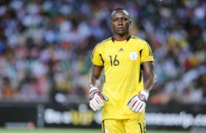 Dele Aiyenugba Urges Super Eagles Coach Peseiro To Scrutinize Players For AFCON Readiness