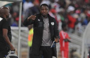Greg Etafia Advocates For Nigerian Coach To Lead Super Eagles