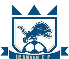 Iganmu Tigers FC Announces Departure Of Head Coach, Assistant