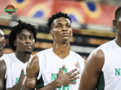 Nigeria Will Be At The Afro Basketball Qualifying Tournament