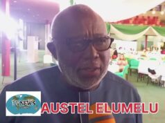 Austel Elumelu Criticizes Board’s Inaction on Super Eagles Coach Appointment