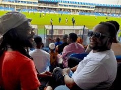 Beautiful Nubia: Unveiling NPFL’s Wealth Creation Potential