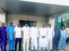NFF Will Treat Supersand Eagles Like Other National Teams – Gusau
