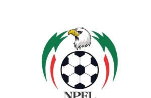 SPECIAL FEATURE: GTI’s Strategic Impact On NPFL (Part 1)