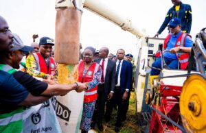 Ogun State’s Rice Revolution: Youth, Women Farmers Yield 1.4k MT In Pilot Project, Set To Upscale For National Impact