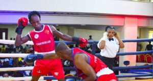 Yucateco Boxing League Sets New Hight With 48 Bouts In Week 2