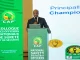 ‘It’s a Systemic Problem’ — Emeruwa Says Nigeria Football Needs State of Emergency