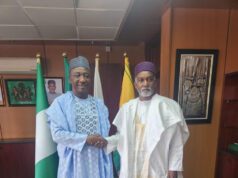 Gusau Praises President Tinubu, Commends Valuejet Crew For Diligence And Endurance