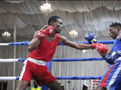 Lagos Set For Maiden Edition Of Individual Boxing Club Championship