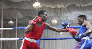 Lagos Set For Maiden Edition Of Individual Boxing Club Championship