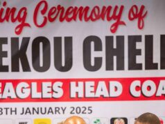 Ladan Bosso Backs New Super Eagles Coach Eric Sekou Chelle, Calls for National Support