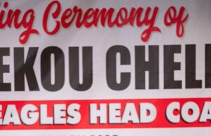 Ladan Bosso Backs New Super Eagles Coach Eric Sekou Chelle, Calls for National Support