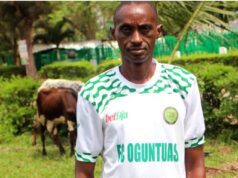 CHAN Eagles Should Continue In Camp, Don’t Disband Them, Oguntuase Advises NFF