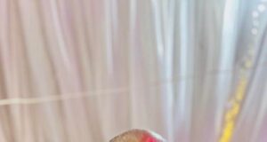 Why Obesere Decided To Celebrate His 60th Birthday ‘Publicly,’ Plus Reasons Behind His Charity For Education – Babs Akeem Maps