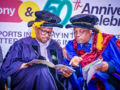 Renewed Hope Initiative For Nigeria’s Sports Economy (RHINSE): A Call For Unity, Research, And Development