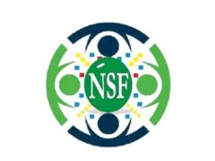 NSF Reveals Date, Venue For 2025 Nigeria Scrabble Festival