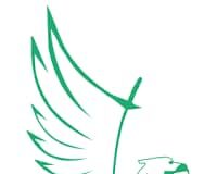 Nigeria Beats Australia to Host the 2026 Commonwealth Fencing Championships, NFF Celebrates