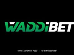 Unleash Live Betting Your Wins with Waddibet