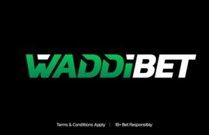 Unleash Live Betting Your Wins with Waddibet