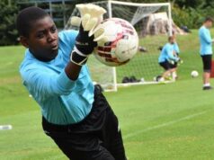 NPFL: The More, the Merrier- A Call to Action