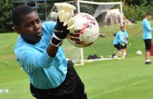 NPFL: The More, the Merrier- A Call to Action