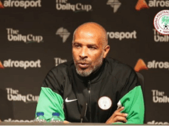Super Eagles Need More Training, Must Work Harder To Improve – Chelle