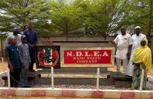 NDLEA Kano Strategic Command to Combat Drug Abuse With Dambe Ahead of UNODC International Day