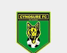 Cross River FA Indicts Cynosure FC Chairman in NLO Match Manipulation Scam
