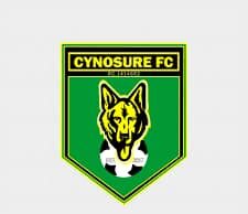 Cross River FA Indicts Cynosure FC Chairman in NLO Match Manipulation Scam