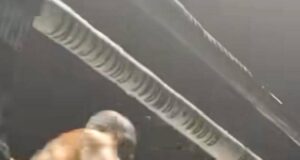 Trujillo Floors Kayode in Sixth-Round TKO at Wichita Heavyweight Clash
