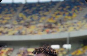 Alhassan Ibrahim Dominates Midfield As Shkëndija Dispatch FCSB, Clinches UCL Second Round Spot